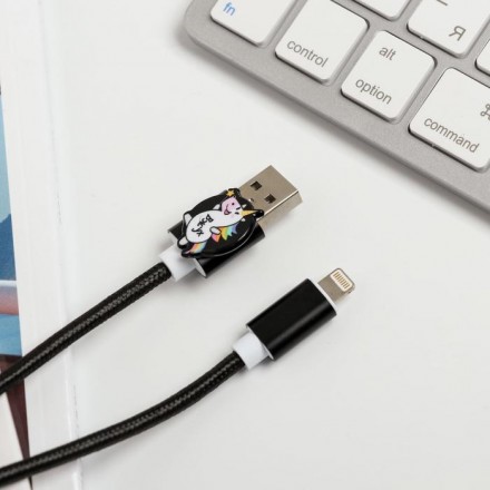 Набор: держатель для провода и кабель USB iPhone «Единорог вжух и порядочек», 1 м