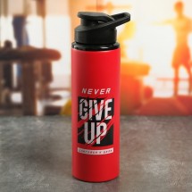 Бутылка металлическая «Never give up», 900 мл