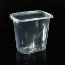 Набор одноразовых контейнеров с крышкой, 500 мл, 10,8×8,2×9,2 см, 10 шт, цвет прозрачный